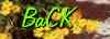 bak.jpg (1401 bytes)
