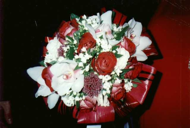 beaut8.jpg (23995 bytes)