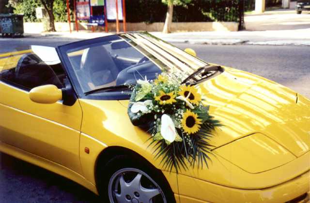 car1.jpg (33288 bytes)